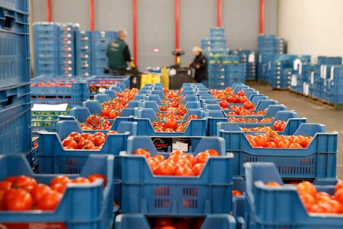 Рост выручки от экспорта агропродукции